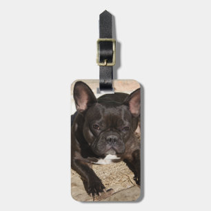 Étiquette À Bagage Grouchy French Bulldog