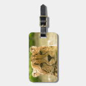 Étiquette À Bagage Guépard (Devant Vertical)