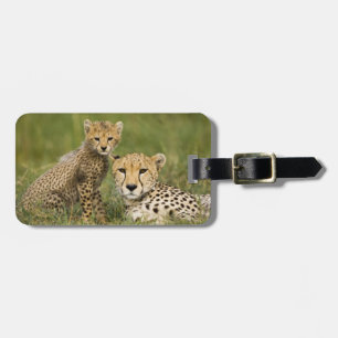 Étiquette À Bagage Guépard, Acinonyx jubatus, avec un petit