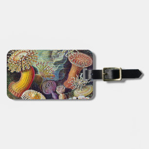 Étiquette À Bagage Haeckel Sea Anemone Ocean Life Nature Art Peinture