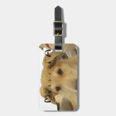 Étiquette À Bagage "Hakuna Matata Pup" - Insouciant Amour des chiots (Devant Vertical)