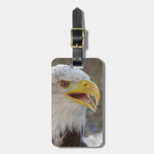 Étiquette À Bagage Haliaeetus leucocephalus