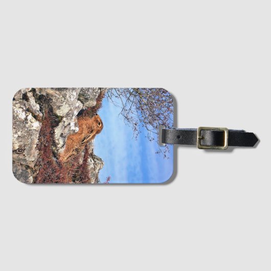 ÉTIQUETTE À BAGAGE HARE (Devant Horizontal)