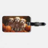 Étiquette À Bagage Havanais chiot automne ravi Citrouille (Dos horizontal)