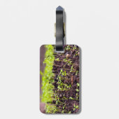 Étiquette À Bagage Herbe à germes (Dos Vertical)