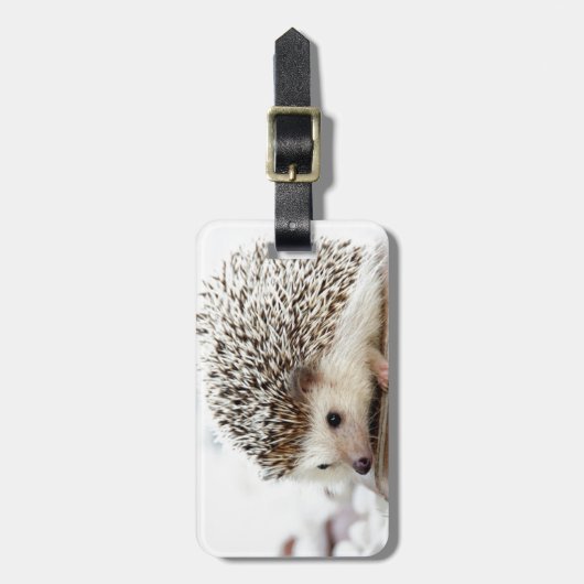 Étiquette À Bagage Hérisson (Devant Vertical)
