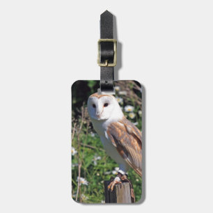 Étiquette À Bagage Hibou chic chic de destin de mod