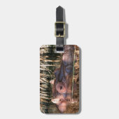 Étiquette À Bagage Hippopotame africain dans l'eau (Devant Vertical)