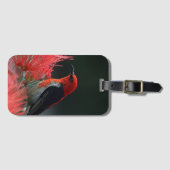 Étiquette À Bagage Honneur de Scarlet Oiseau exotique (Devant Horizontal)