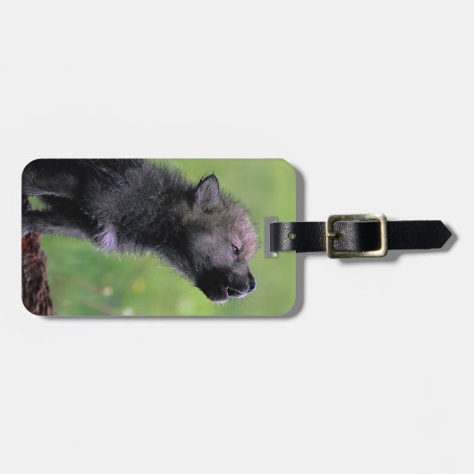 Étiquette À Bagage Howling Wolf Cub (Devant horizontal)