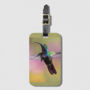 Étiquette À Bagage Humming Bird