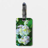 Étiquette À Bagage Hydrangea Lavande dans le Jardin (Dos Vertical)