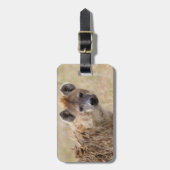 Étiquette À Bagage Hyena (Devant Vertical)