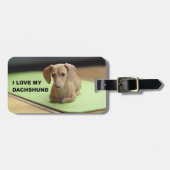 Étiquette À Bagage I Love My Cream Dachshund avec photo (Devant horizontal)