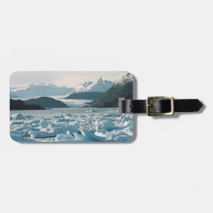 Étiquette À Bagage Icebergs Glaciaires