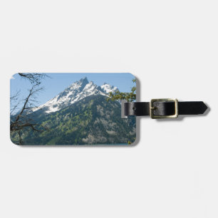 Étiquette À Bagage Identification facile nationale grande du parc #10