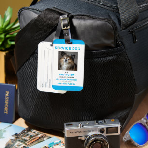 Étiquette À Bagage Identifiez facilement votre chien comme un travail