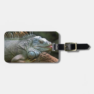 Étiquette À Bagage Iguana étiquette de bagage personnalisée