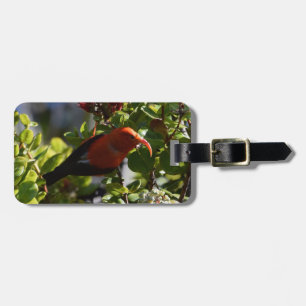 Étiquette À Bagage 'I'iwi sur une floraison de Lehua