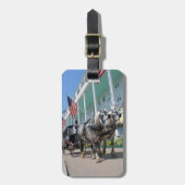 Étiquette À Bagage Île de Mackinac - étiquette de bagage (Devant Vertical)