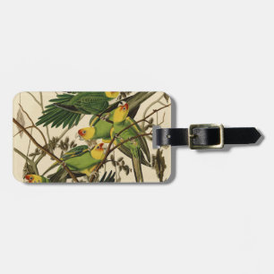 Étiquette À Bagage Illustration Audubon Carolina Parrot Bird