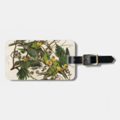 Étiquette À Bagage Illustration Audubon Carolina Parrot Bird (Devant horizontal)