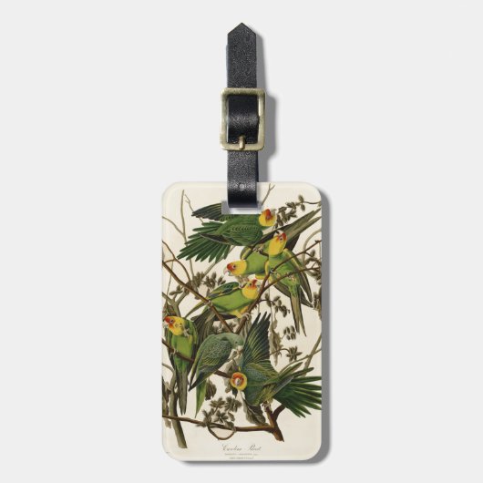 Étiquette À Bagage Illustration Audubon Carolina Parrot Bird (Devant Vertical)