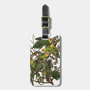 Étiquette À Bagage Illustration Audubon Carolina Parrot Bird