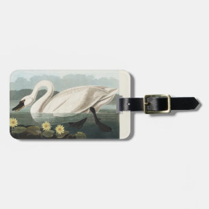 Étiquette À Bagage Illustration d'audubon de nénuphar à cygne blanc v