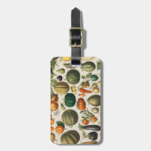 Étiquette À Bagage Illustration scientifique végétale des fruits (Devant Vertical)