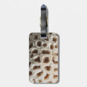 Étiquette À Bagage Image de corail (Dos Vertical)