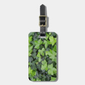 Étiquette À Bagage Impression botanique verte Ivy (Devant Vertical)