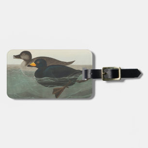Étiquette À Bagage Impression de Macreuse noire d'Audubon : Canard cô