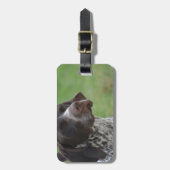 Étiquette À Bagage Indicateur aux cheveux courts allemand doux (Devant Vertical)