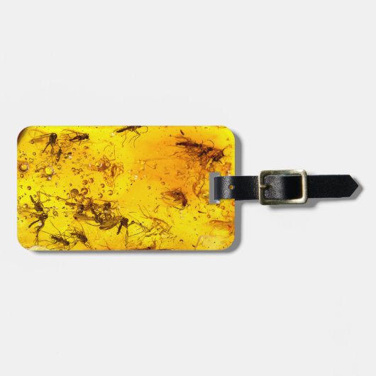 Étiquette À Bagage Insectes en ambre (Devant horizontal)