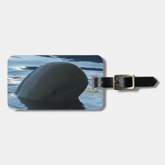 Étiquette À Bagage Irrawaddy Dolphin Peek-A-Boo (Devant horizontal)