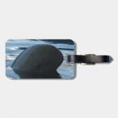 Étiquette À Bagage Irrawaddy Dolphin Peek-A-Boo (Dos horizontal)