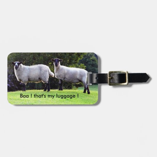 Étiquette À Bagage J'Ai Trouvé Mes Bagages. (Devant horizontal)