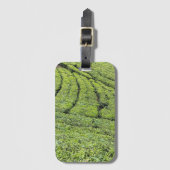 Étiquette À Bagage Jardins de thé de Munnar sur (Devant Vertical)