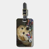 Étiquette À Bagage Jaune de laboratoire LR avec jouet (Devant Vertical)