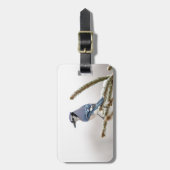 Étiquette À Bagage Jay bleu en hiver (Devant Vertical)