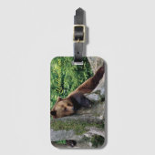Étiquette À Bagage Jellowstone Luggage Bear (Devant Vertical)