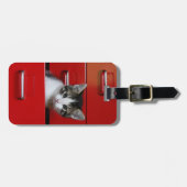 Étiquette À Bagage Jeter un coup d'oeil de chaton (Devant horizontal)