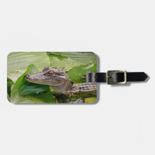 Étiquette À Bagage Jeune Alligator