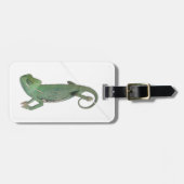 Étiquette À Bagage Jeune caméléon voilé, calyptratus de Chamaeleo (Devant horizontal)