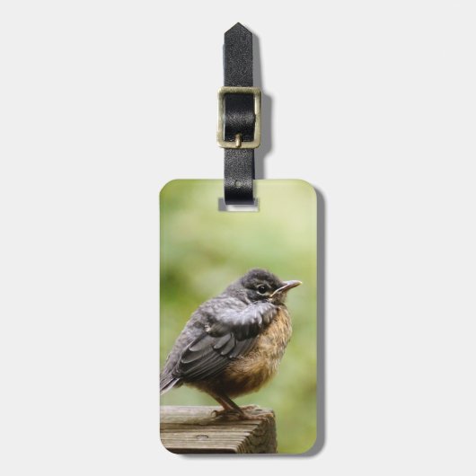 Étiquette À Bagage Jeune Robin (Devant Vertical)