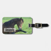 Étiquette À Bagage Joli Cheval Brown allongé dans l'herbe (Devant horizontal)