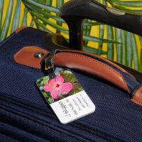 Joli Hibiscus rose