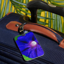 Jolie Florale