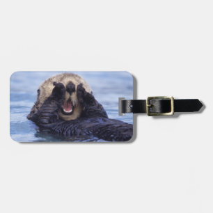 Étiquette À Bagage Jolie loutre de mer Alaska, États-Unis